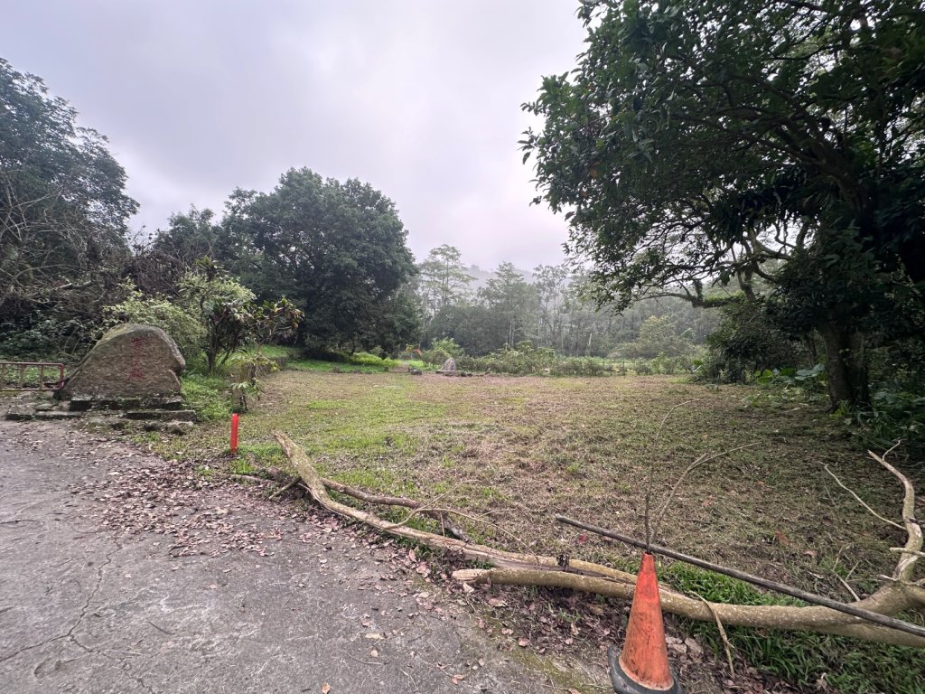 063台南白河大凍山_2652501