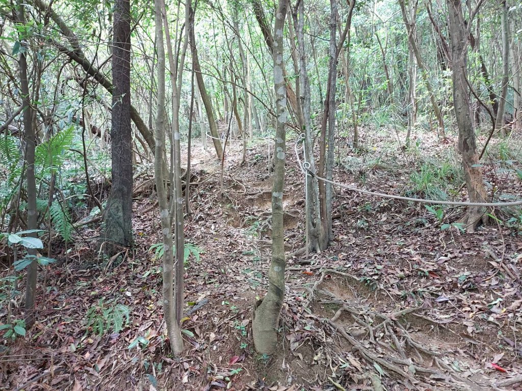 如意湖-金明山-柯子林山_1706673