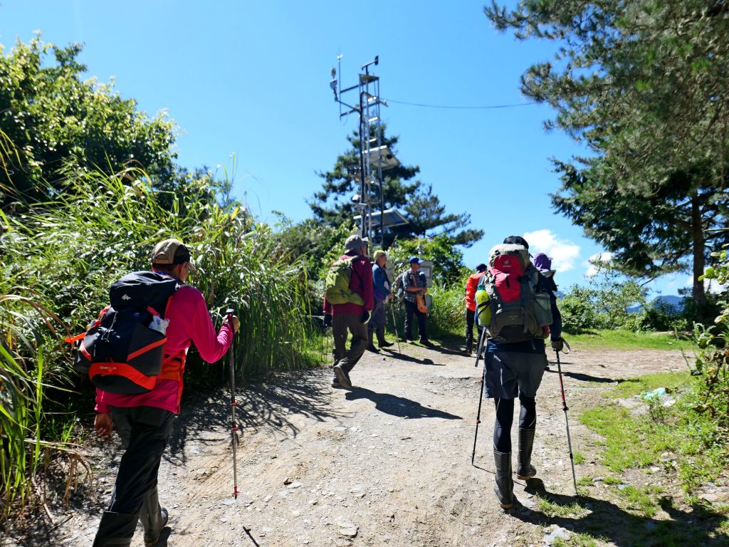 登碧綠神木旁焦土山及加碼綠水文山步道  _375943