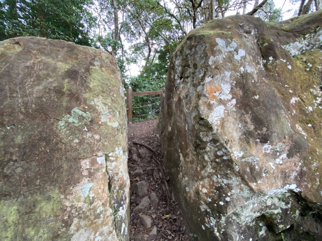 037苗栗泰安-馬那邦山_2604681