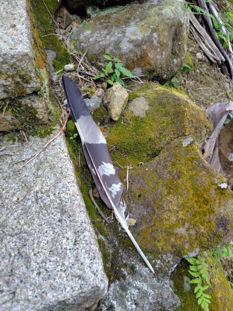 安靖古道_2753523