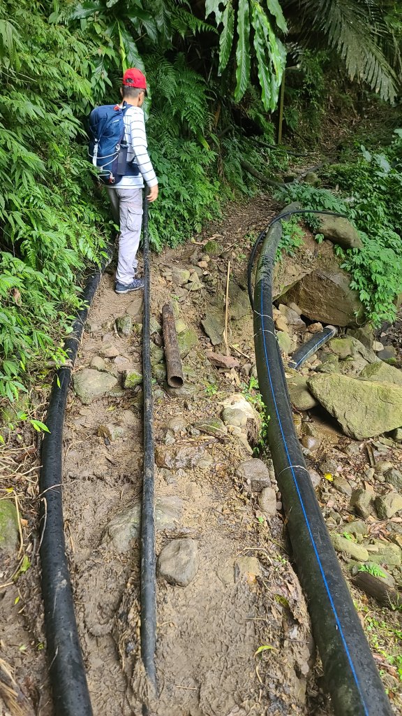 2025-01232淡蘭古道北二段(燦光寮古道到澳底)_2696557