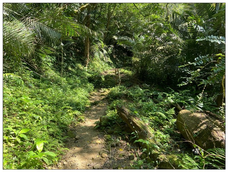 草嶺山、白石山、頭寮山 六連峰 O型路線_2798618