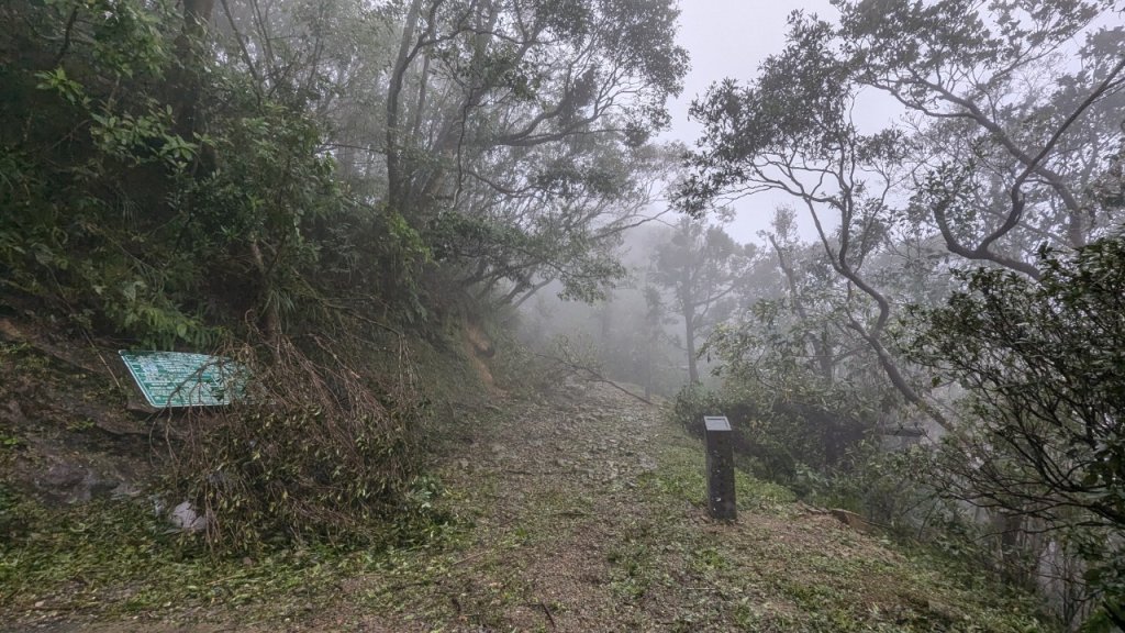 113.11.02颱風過後的二格山之行封面圖