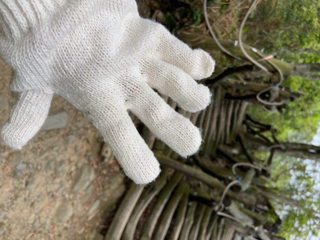 大坑2號原路來回_2130433