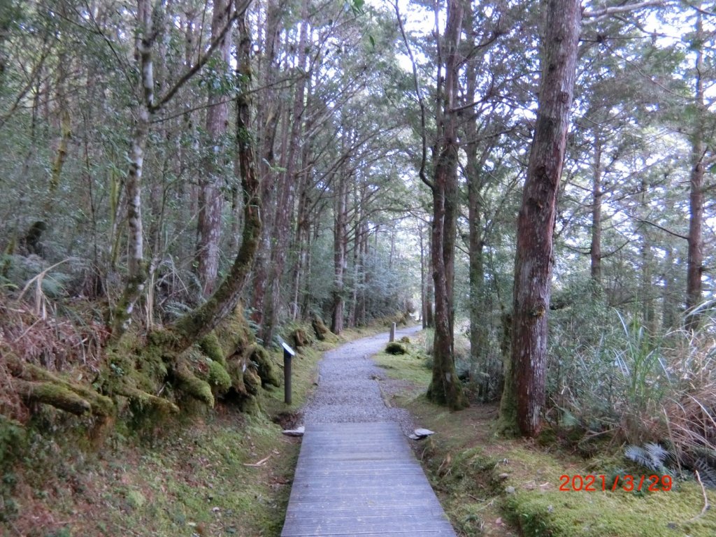 翠峰湖環山步道_1557907