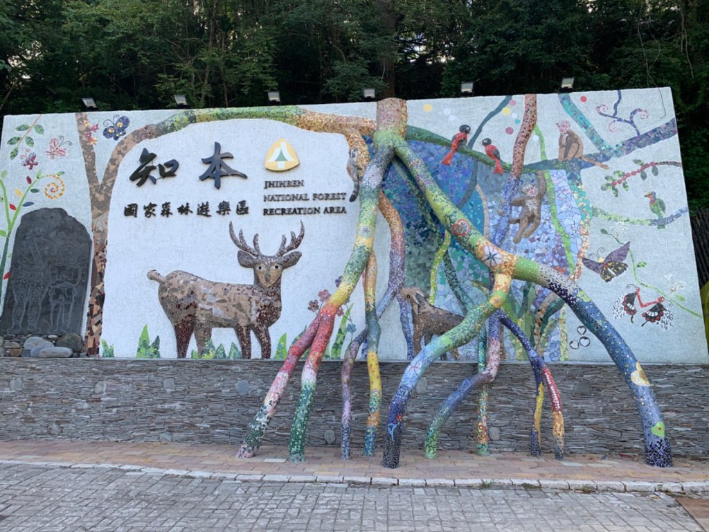 台東知本森林遊樂區之1088階好漢坡封面圖