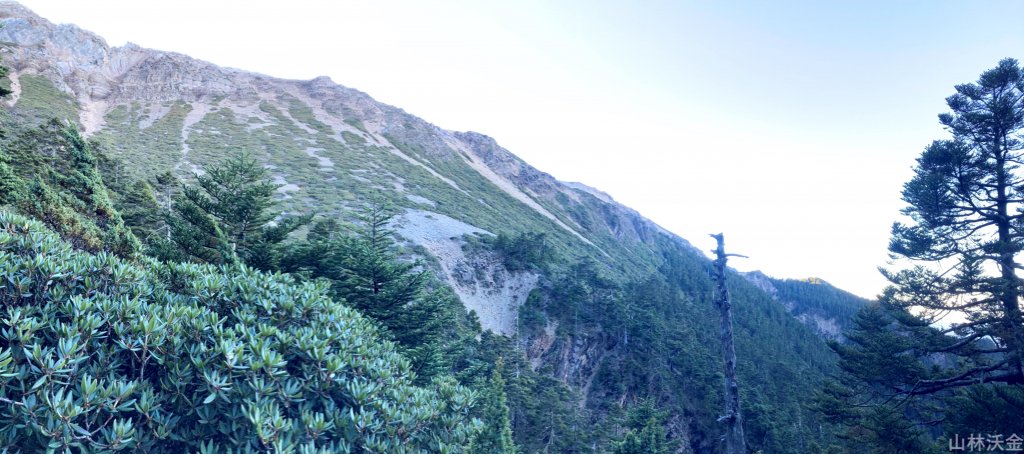 2023-11-27 玉山主峰_2365018