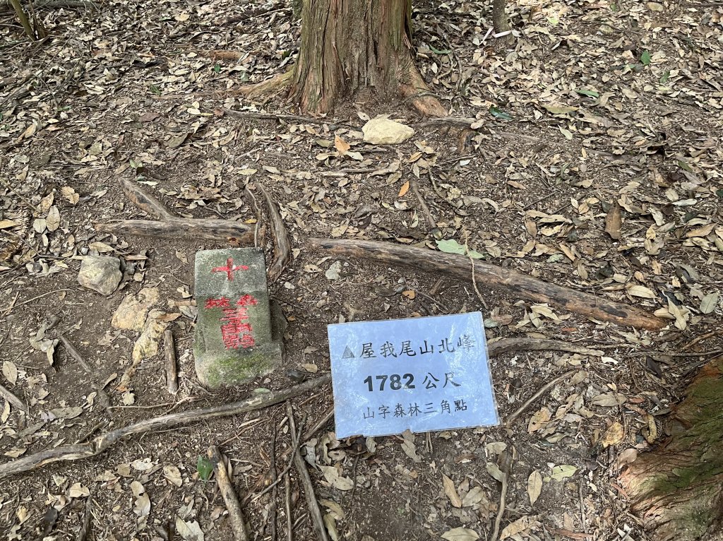 2021_1230 屋我尾山北峰_2598928