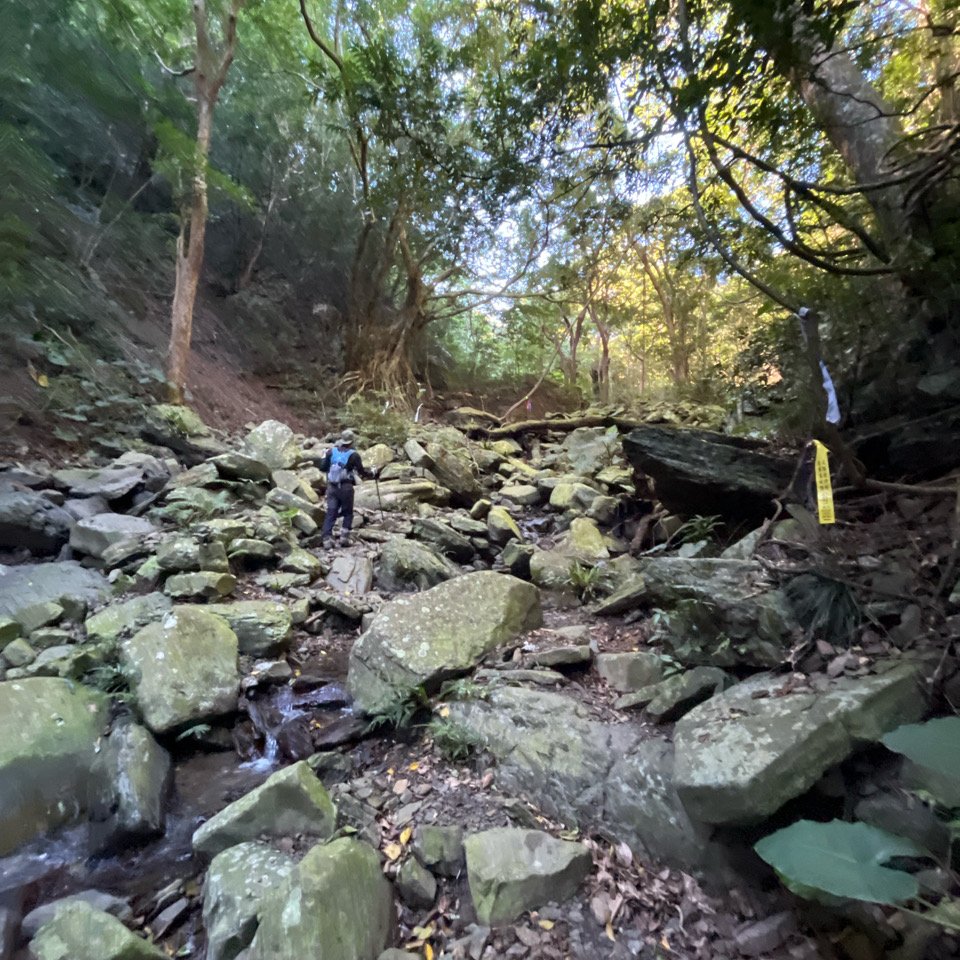 20251214_女仍山（屏東小百岳）_2968711