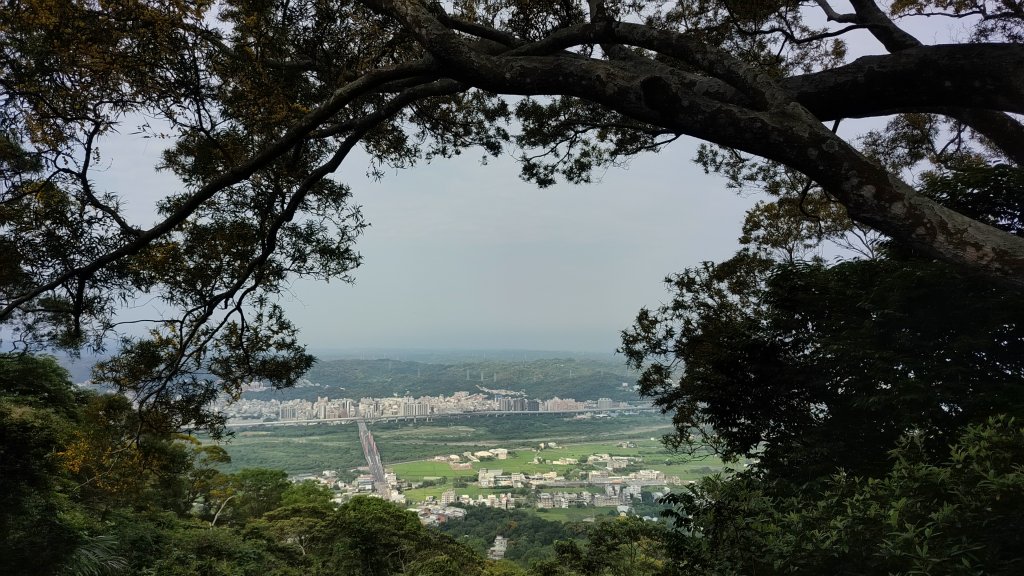 2024/05/08 飛沙縱走（石壁潭山-飛鳳山-沙坑山-二確山）_2510452