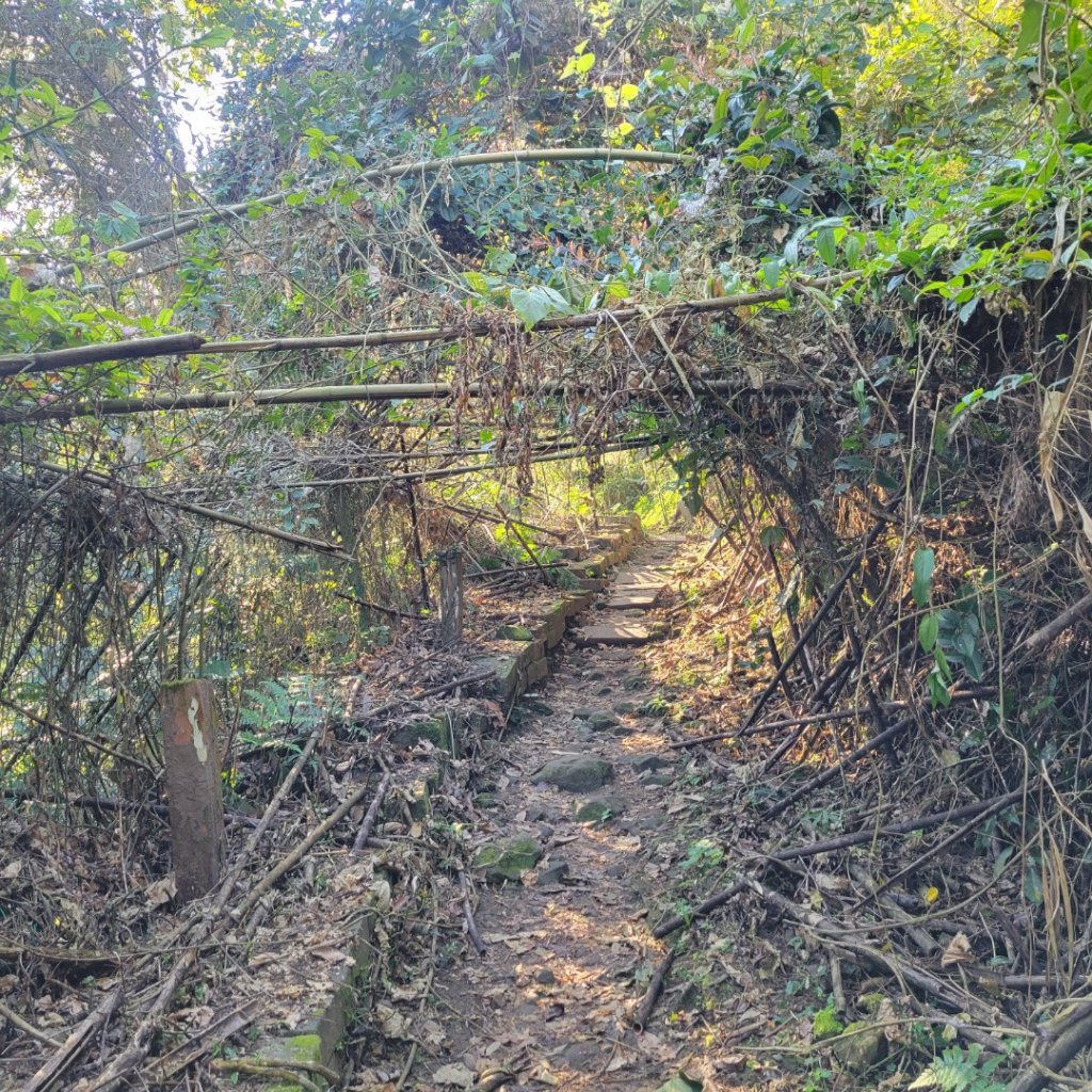 馬那邦山、細道邦山（小百岳）_2435541