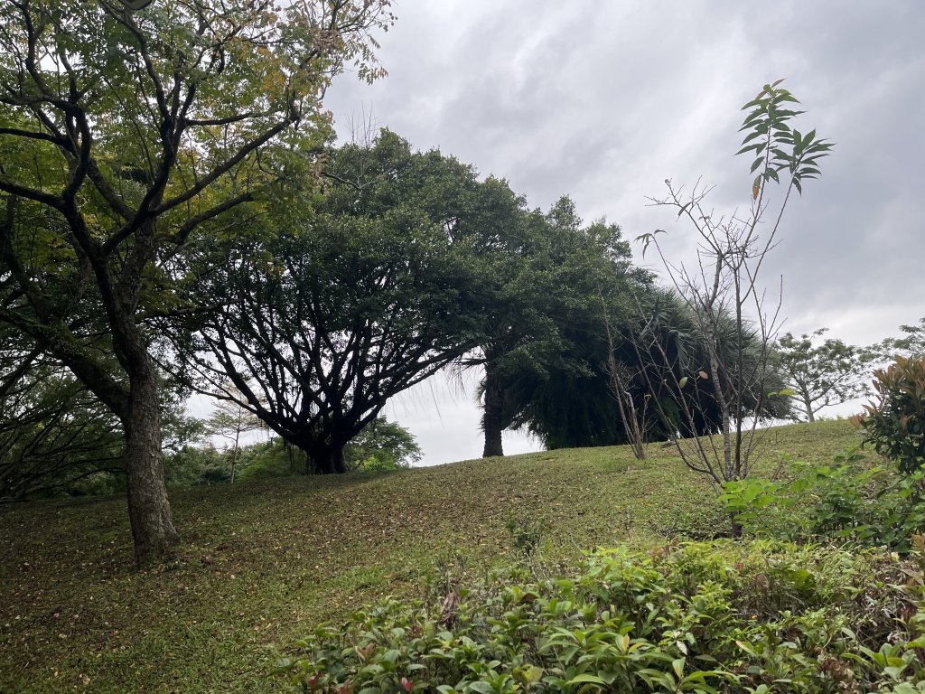 [臺北健康大穀東-24/34] 2023_1021 南港公園_2332568