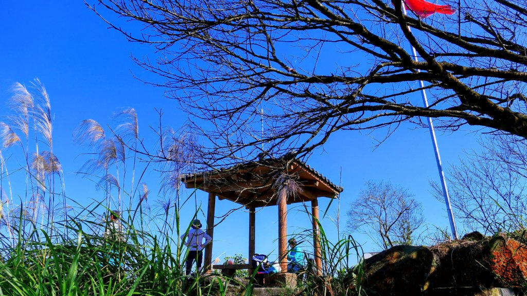 水返之城_2982941