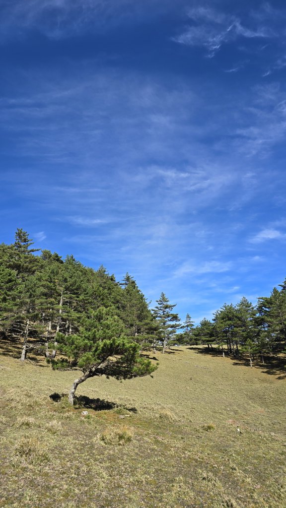 20241124-1130 南二段10座百岳_2665460