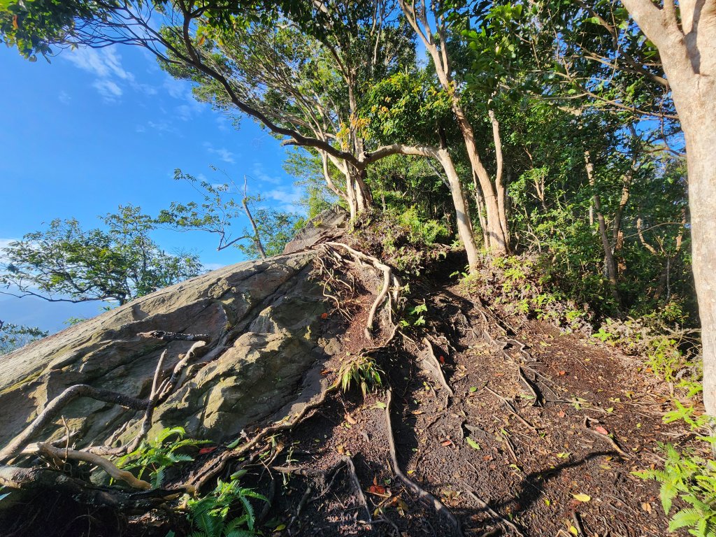 20251214石牛山柑坪山新柑坪山牛背岩_2972731