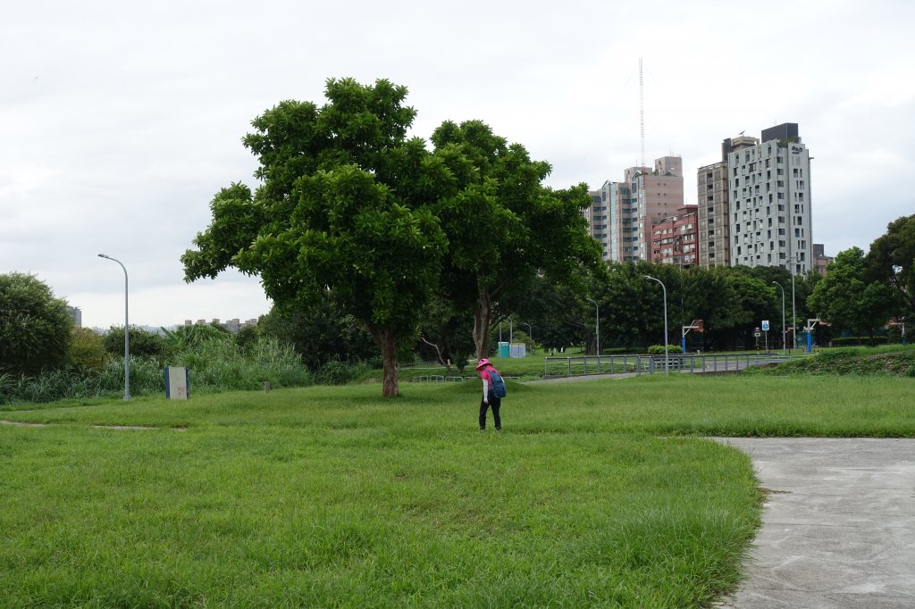 寶藏巖．古亭中正河濱公園_1122252