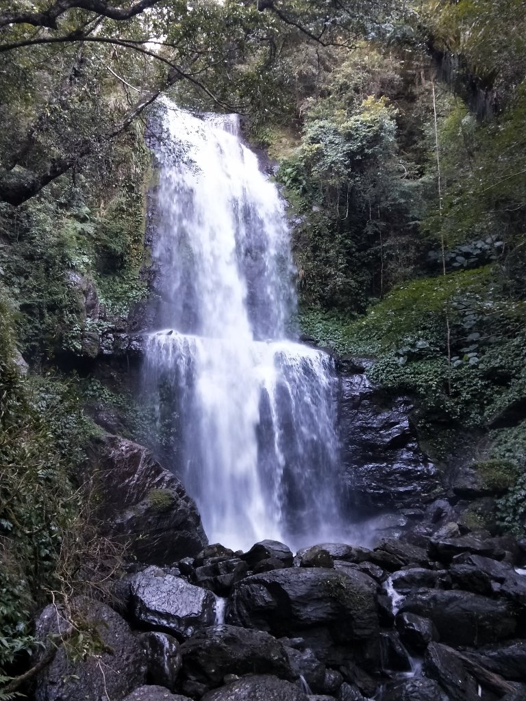 20201025 雲森瀑布，卡保山山毛櫸_1145497