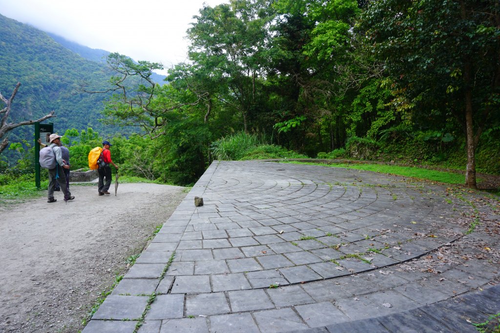蕨之道~春遊瓦拉米_563140
