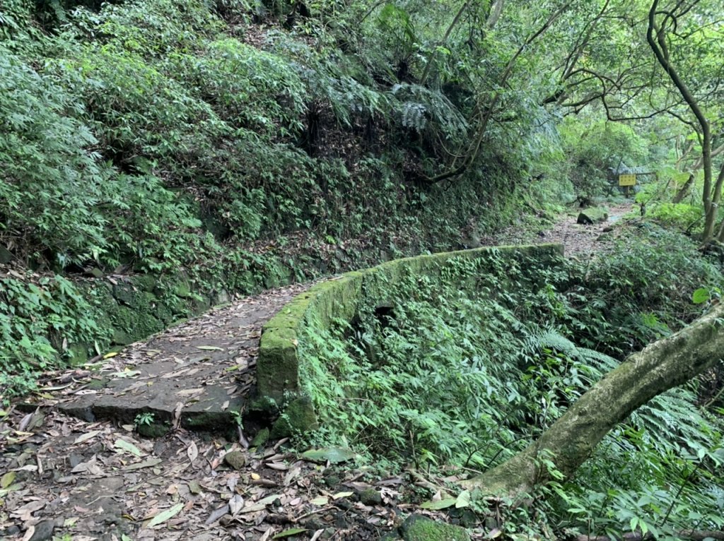 魚路古道北段（金包里大路）_1675441