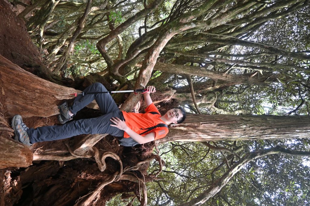 中級山-高島縱走_2888352