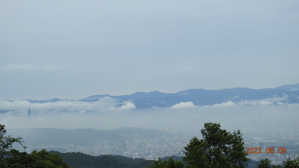 雲山水花鳥蝶 - 雲霧飄渺間的101大樓也是天空之城 ?_1731657
