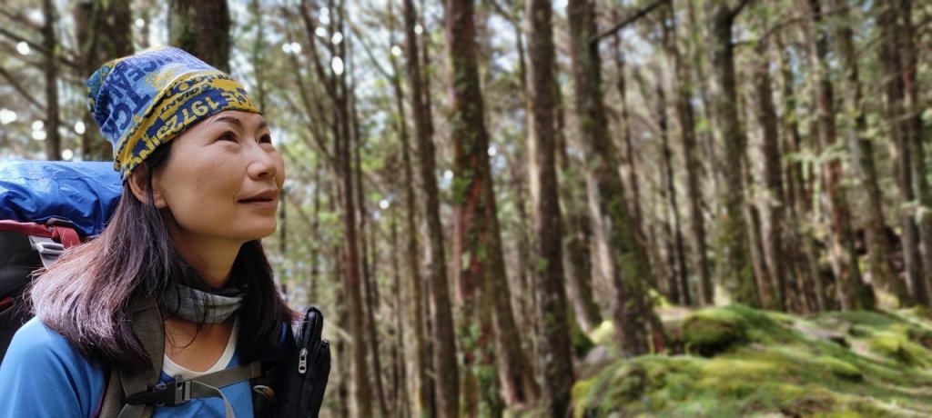 雙龍林道上巒安堂西巒大山_1778572