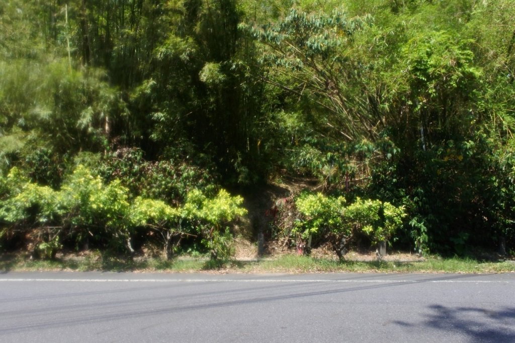 20240901三分仔古道-楊廷理古道_2585562