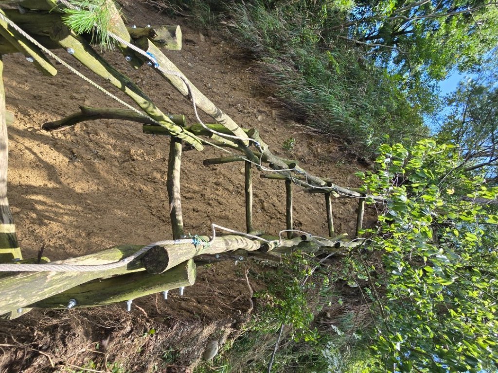 台中大坑四號登山步道（毀損）_2563655