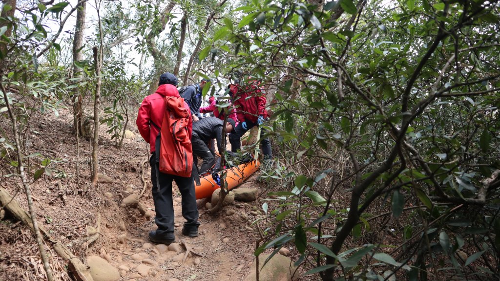 火炎山縱走慈濟茶園登山健行趣(小百岳35號)_2022850