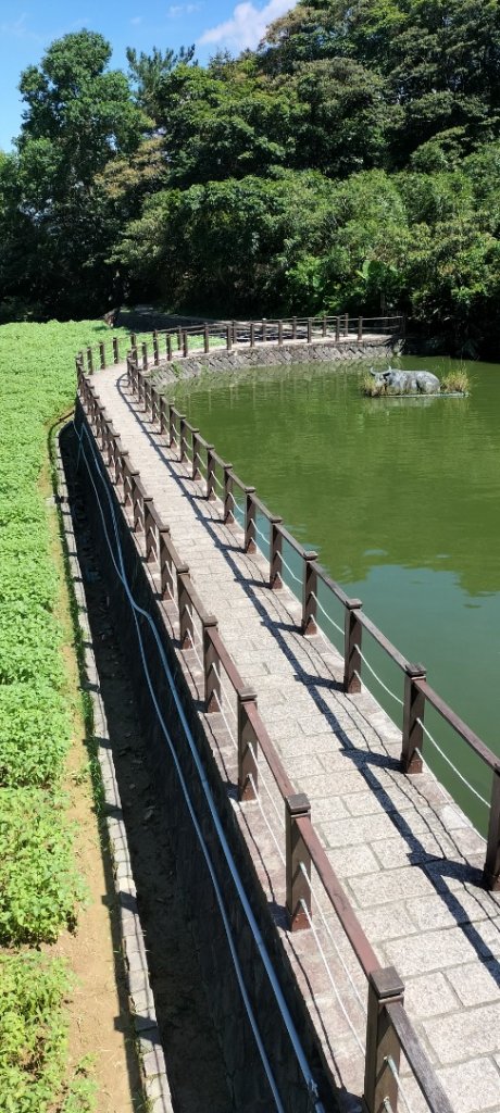 8/21銀河洞…銀河洞越嶺道…樟湖步道…樟樹步道_2258508