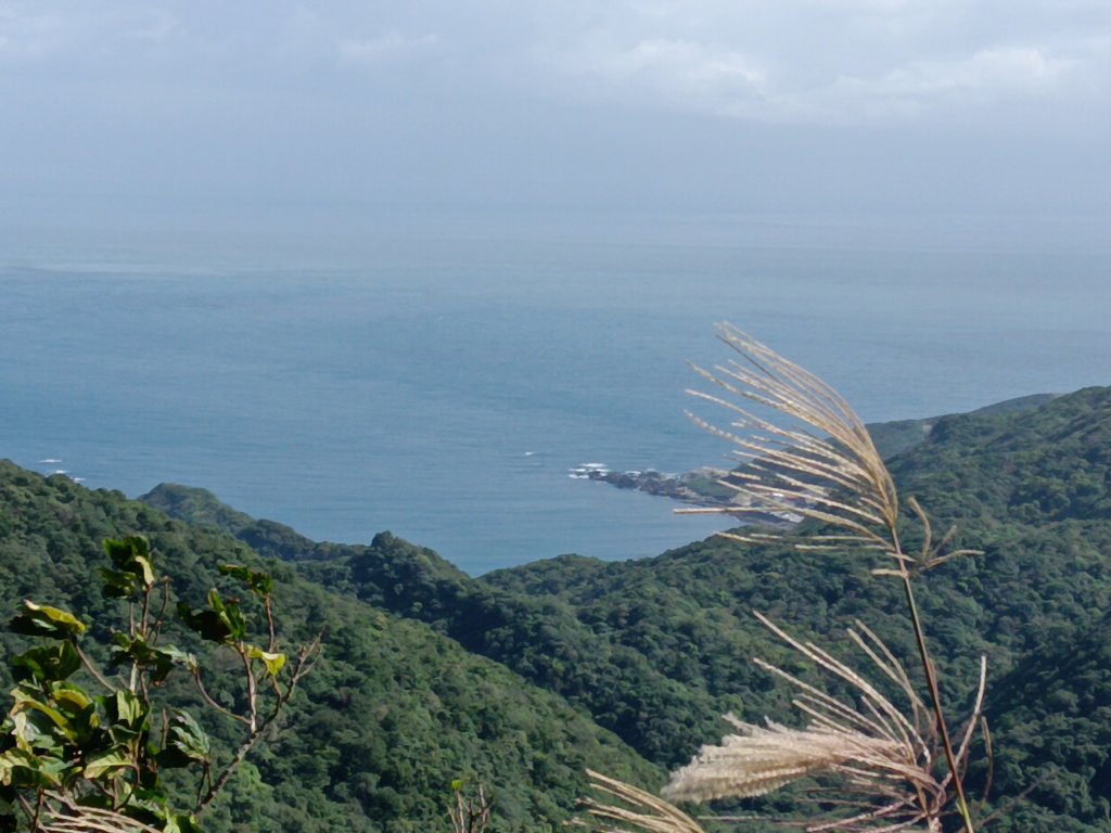 貢寮區龍洞坑古道+苦苓嶺+南雅山+海園古道O型_2954649