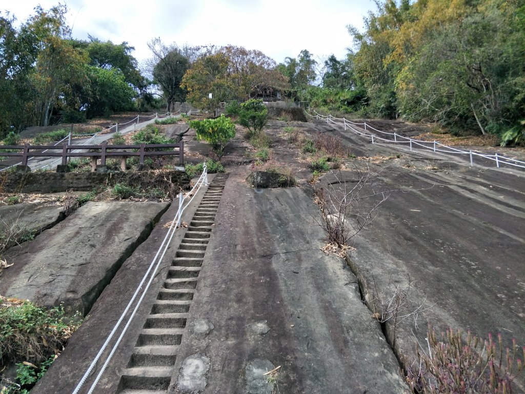 茄苳步道、峭壁雄風步道封面圖