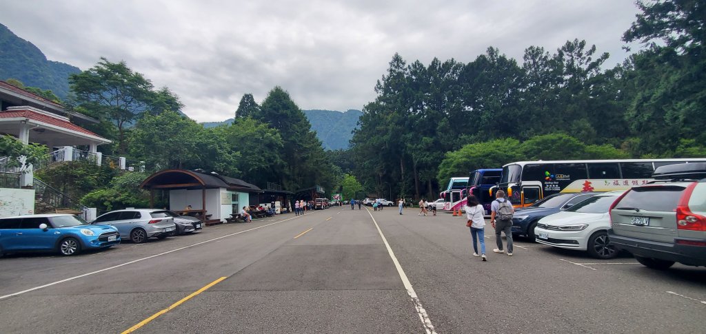 2024-05-19溪頭自然教育園區_2507972