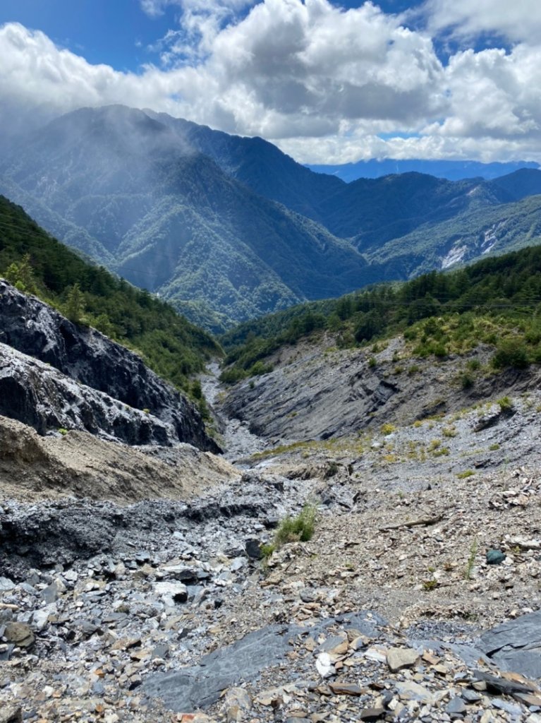 奇萊南華_1142406