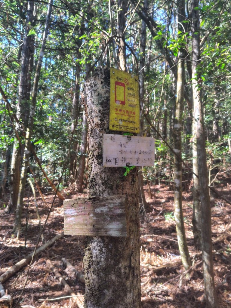 守關山南峰 守關山 守城大山_2919142