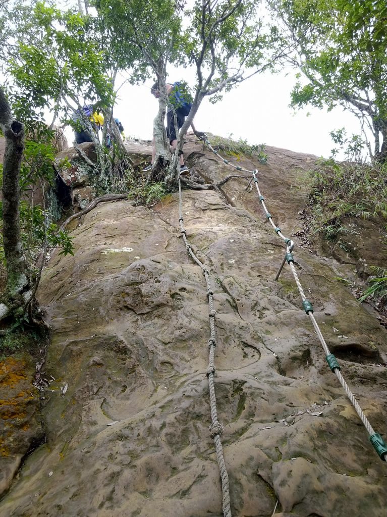 五寮尖 O 型之旅_396767