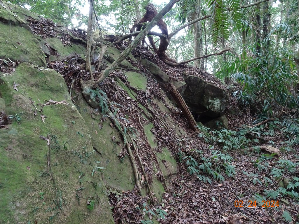 矢場谷山縱走勃子山往返_2436198