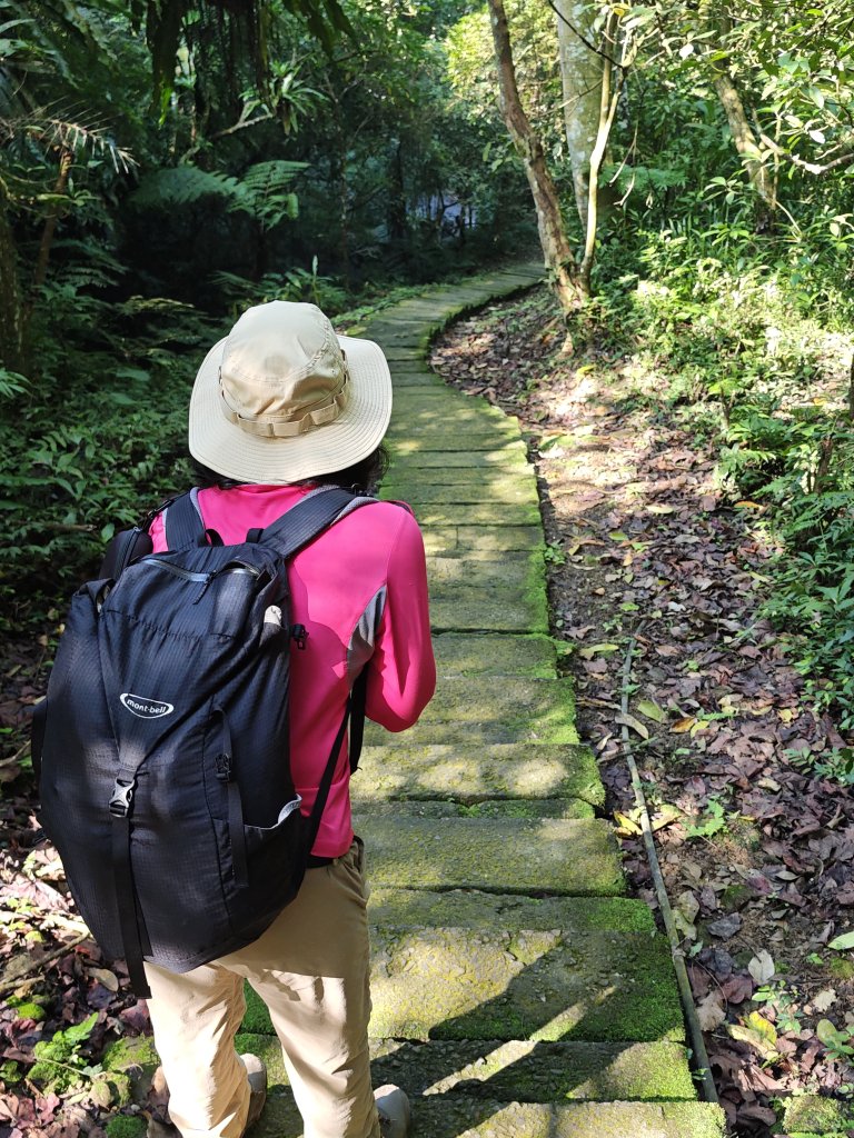 2026-0221造鎮-太極嶺-桐花公園-承天禪寺-永寧站_3005852