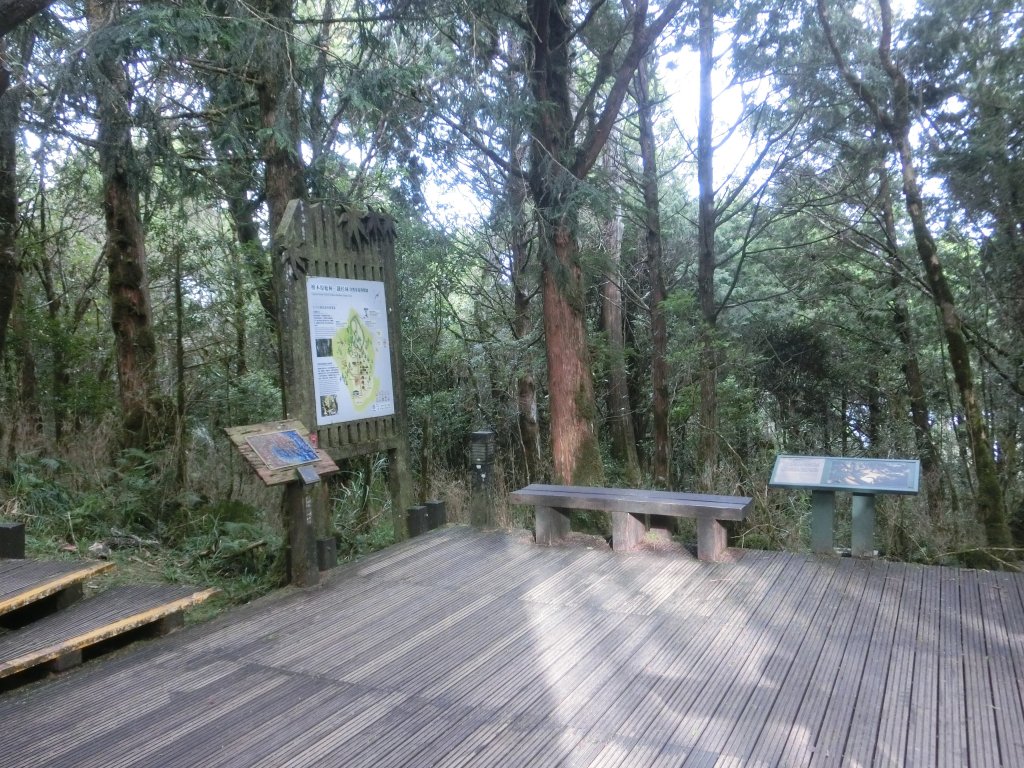 檜木原始林步道_672713