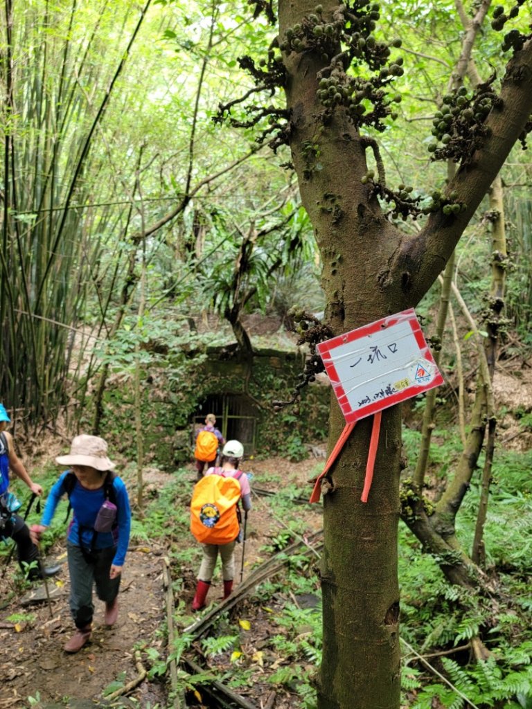 搭火車去爬山-20240616_2600793