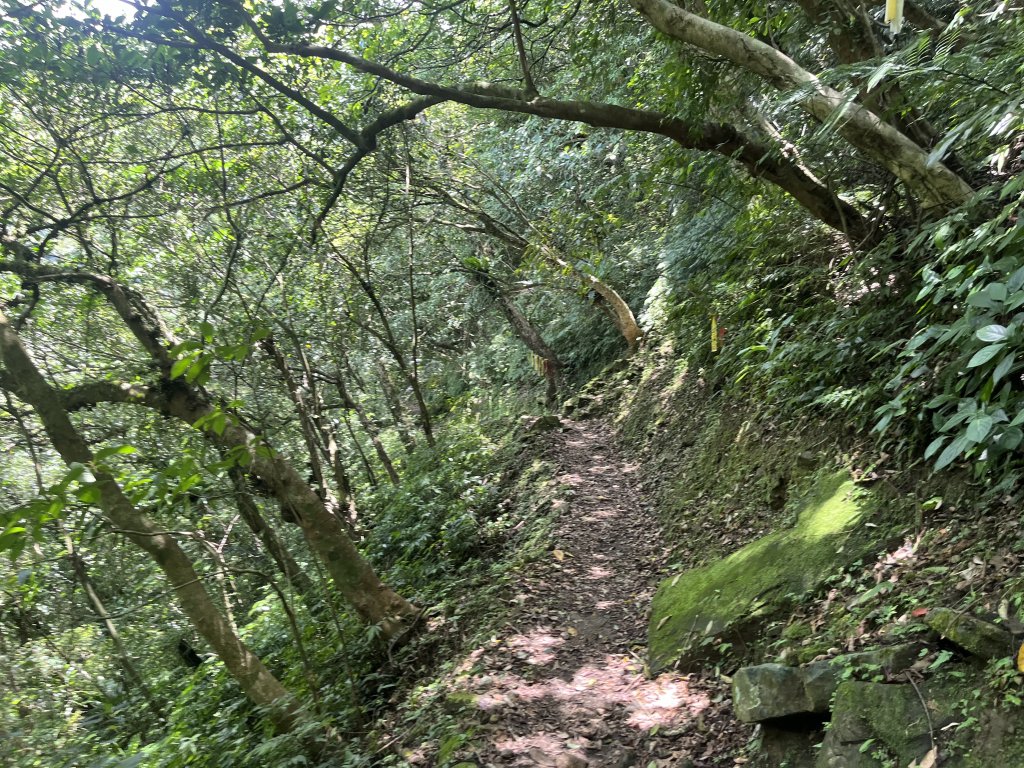 [淡蘭古道] 2024_0622 中路第五段-灣潭古道_2533970