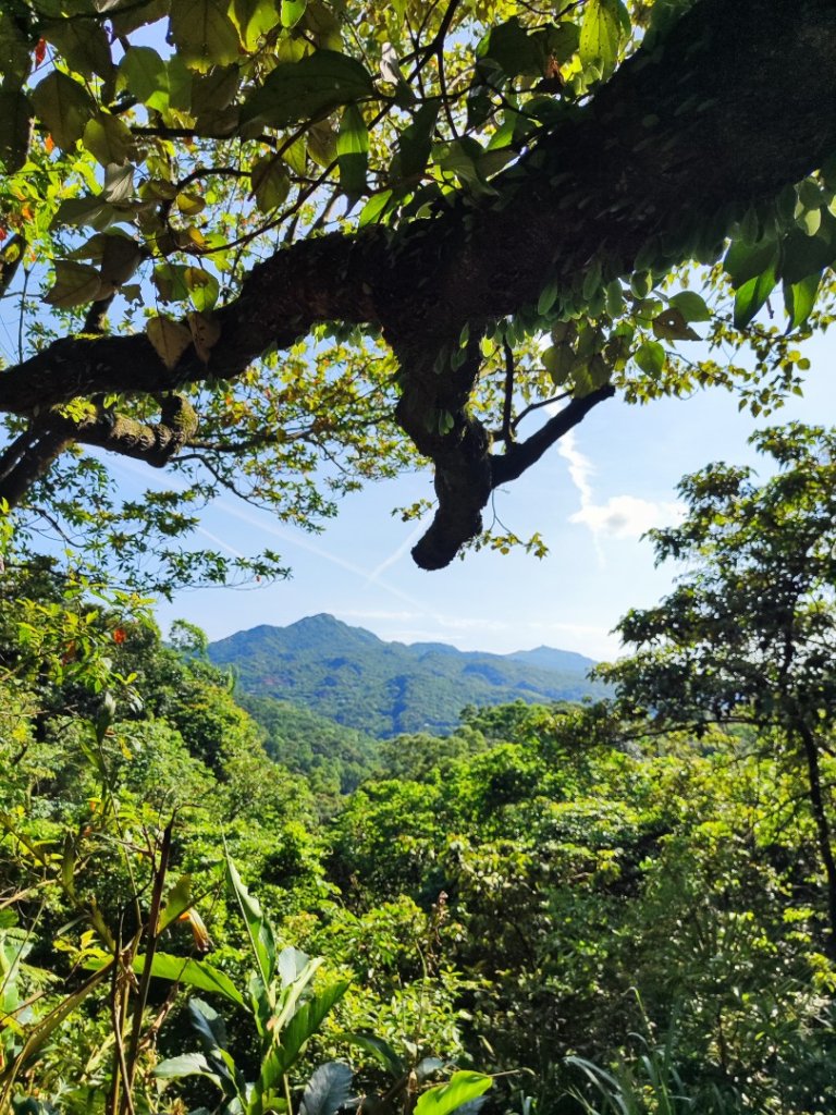 淡蘭北2+1逆走二刷_2772786