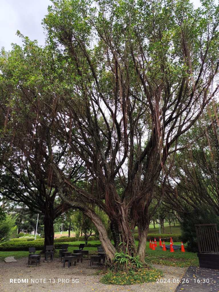 大安森林公園【走路趣尋寶】【臺北健走趣】_2536282