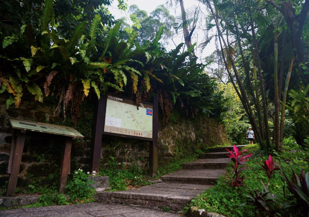 大尖山、四分尾山步道_1332053