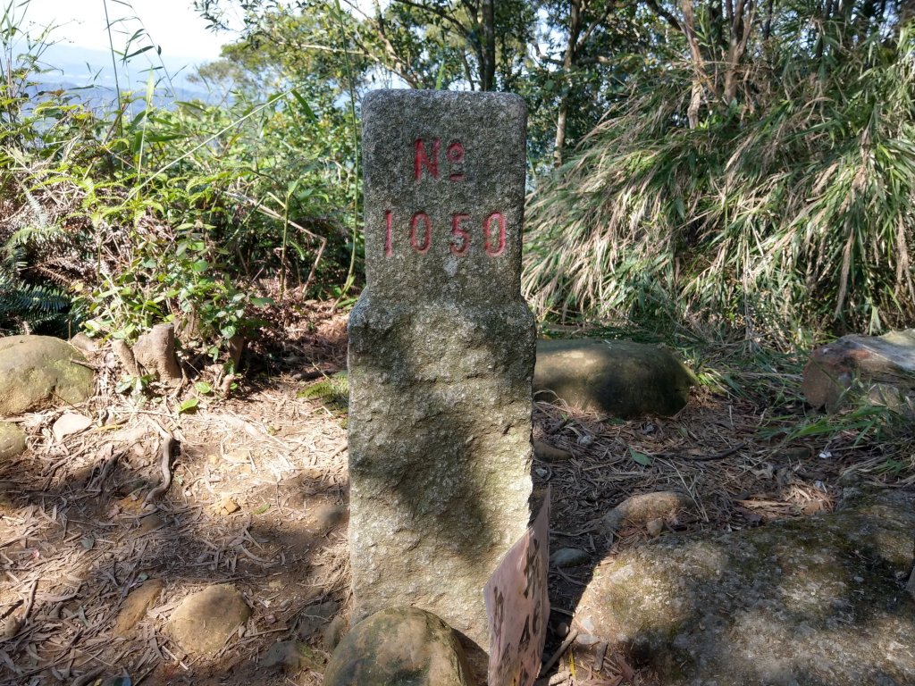 新竹飛鳳山(中坑山)小百岳_880195