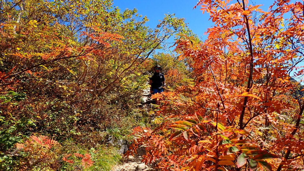 體驗日本最經典的北阿爾卑斯山脈之美燕槍穗縱走_2964678