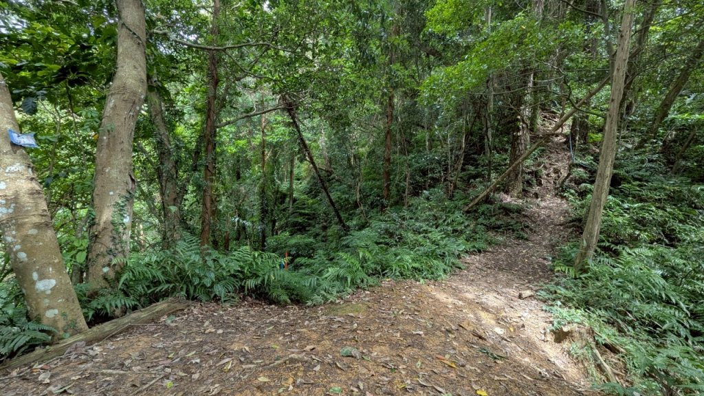 114.06.14雙石縱走&石門水庫-石牛山之旅_2812278