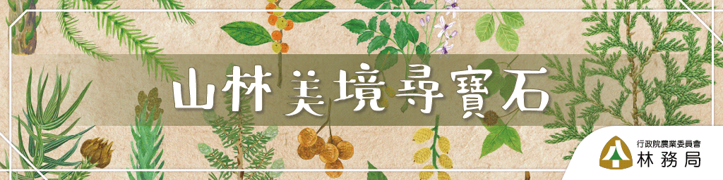 山林美境尋寶石封面