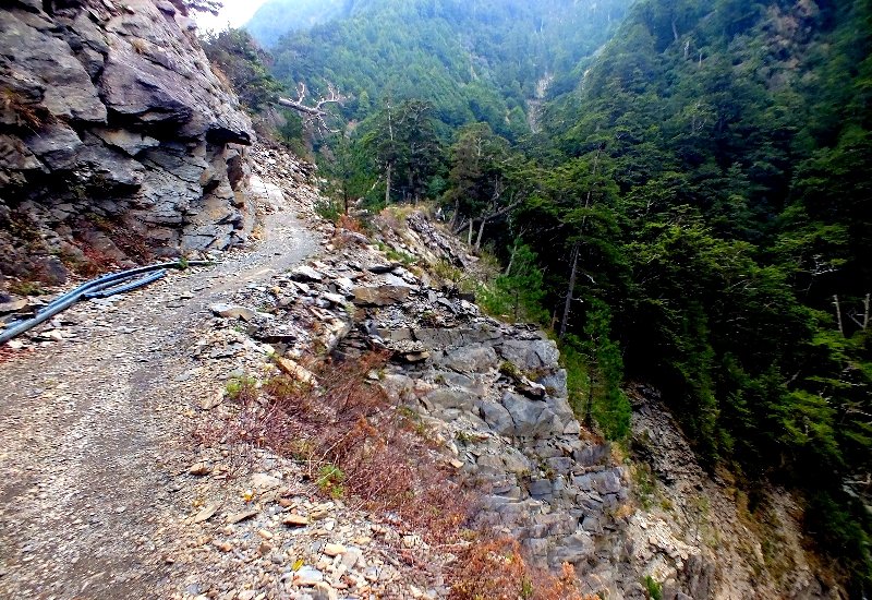 山風15度C吹拂 ~ 合歡溪 步道_1551747